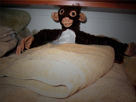 A stuffed monkey hiding behind some folded towels.